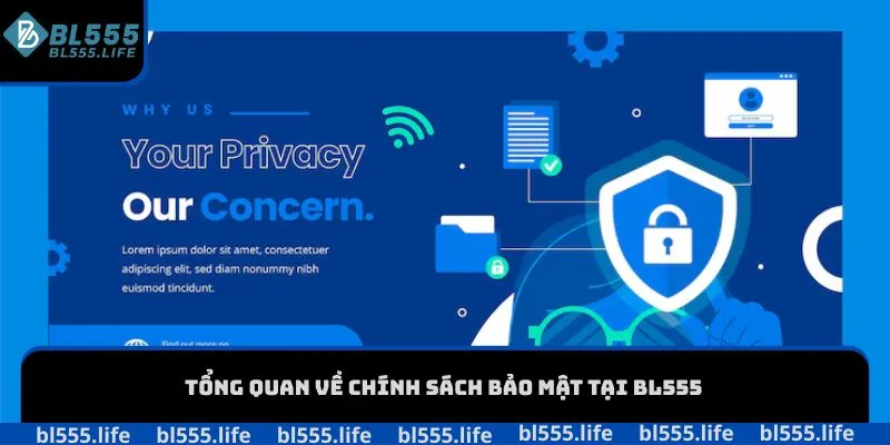 Chính sách bảo mật BL555 1 Tổng quan về chính sách bảo mật tại BL555